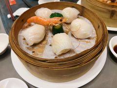 和苑招牌虾饺-和苑·精致粤菜(珠江新城店)