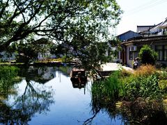 -莲花岛景区