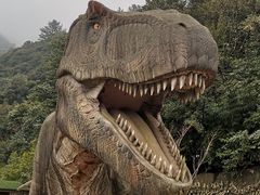 -梦幻奥陶纪景区