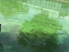 -酷鱼垂钓CLUB(朝阳区博大路店 )