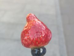 -八大处公园