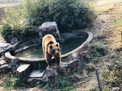 -无锡动物园·太湖欢乐园