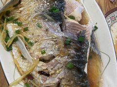 清蒸婉鱼-聂记粤菜馆(鼓西路店)