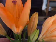-大董(阜成路店)