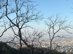 -灵顺寺
