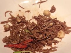 -秀儿四九城·新京菜(亚运村鸟巢店)