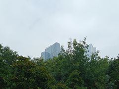 -安妮意大利餐厅(世贸天阶店)
