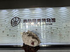 -青岛贝壳博物馆