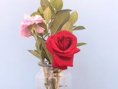 -威克特披萨汉堡