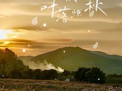 -径山花海