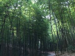 -藏龙百瀑风景区