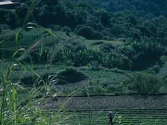 -福建泉州仙公山风景名胜区