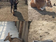 -乌村