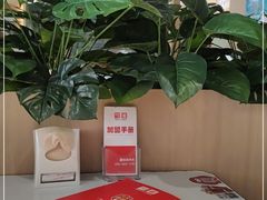 -嘉和一品(新辰天地大兴南区店)