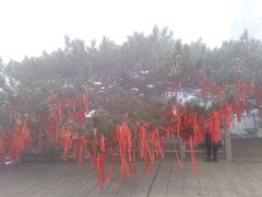 -沂蒙山旅游区龟蒙景区