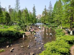 -重庆彩云湖湿地公园