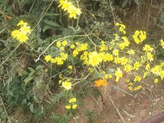 -野三坡刘家河高山漂流