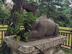 -沈阳市东陵公园