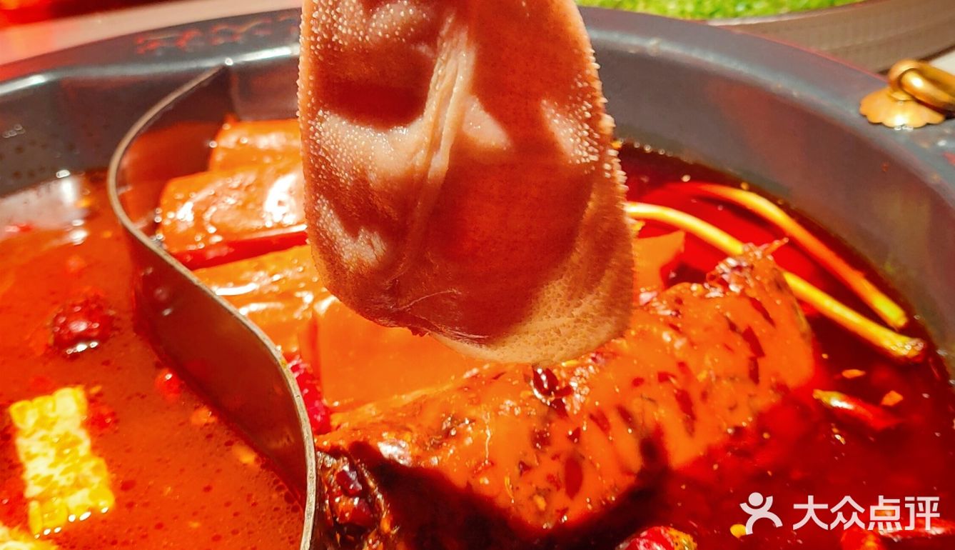 火社火锅自由套餐来了！ 