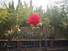 -小仙居·农家宴烤羊· 农庄