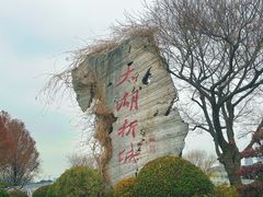 -贡湖湾湿地公园