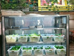 -麒麟豆汤圆子火锅(川心小区店)