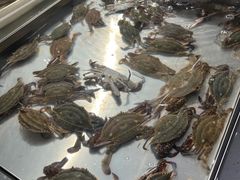 -物美大卖场(玉蜓桥店)