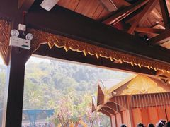 -西双版纳原始森林公园