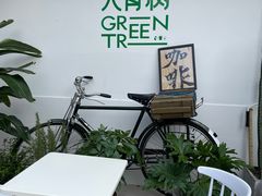 -大青树咖啡(大理古城店)