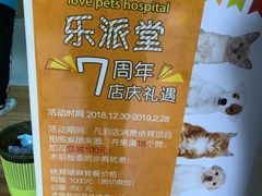 -乐派堂宠物医院·猫友好· 心脏科(东街店)