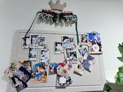 -琪喵猫屋·撸猫猫咖·猫舍