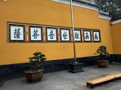 -普陀山慧济禅寺