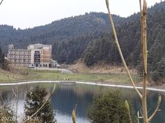 -武陵山森林公园