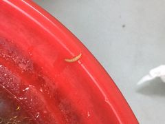 -小无锡面馆