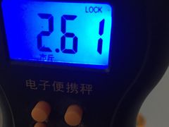 -王浩儿纪六孃甜皮鸭(乐山总店)