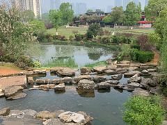 -桃花岭景区