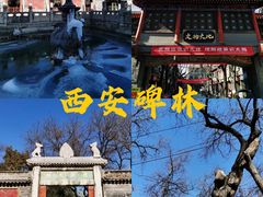 -西安碑林博物馆