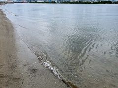 -台场海滨公园船码头