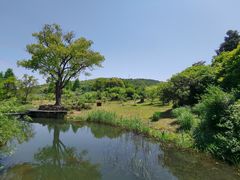 -无锡梅园公园