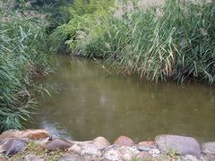 -秦皇岛野生动物园