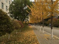 -东北大学(南湖校区)