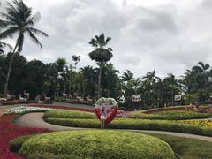 -东芭乐园