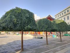-西宁市东关清真大寺