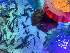 -沈阳海洋探索中心