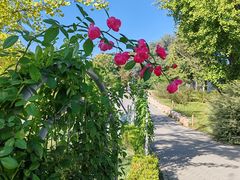 -国家植物园南园