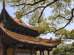 -普陀山风景名胜区-法雨禅寺