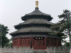 -中国唐苑
