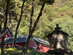 -北京上方山国家森林公园