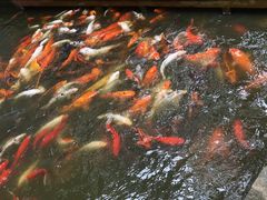 -天河潭旅游度假区