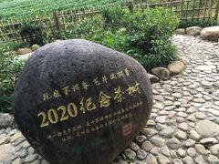 -中国茶叶博物馆(双峰馆区)